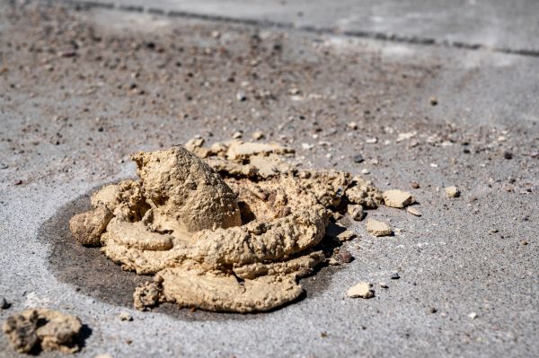 Cost of Driveway Slab Leveling in Ames