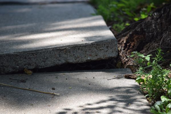 Cost of Concrete Slab Leveling in Ames